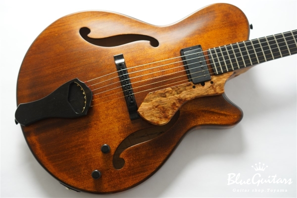 Arcus Archtop - Organic Texture