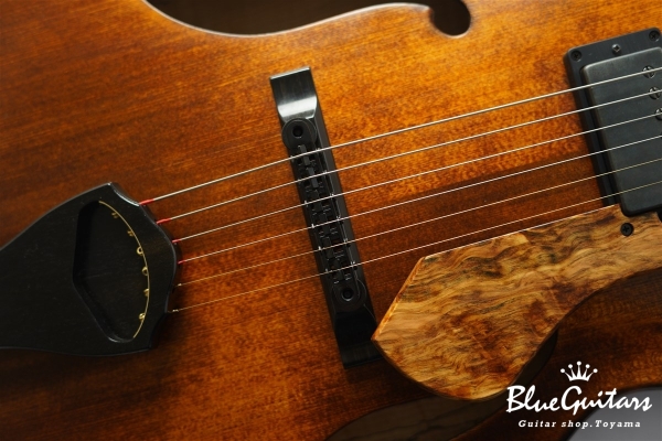 Arcus Archtop - Organic Texture