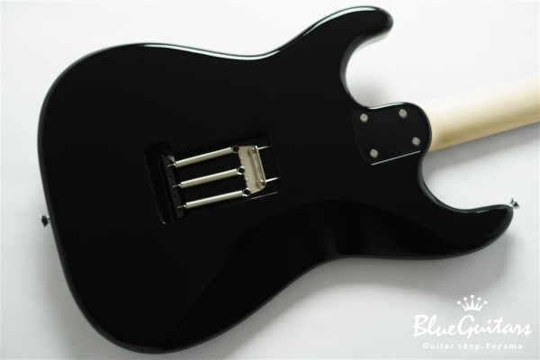 S-622CS Heritage - Black / Tortoise Shell