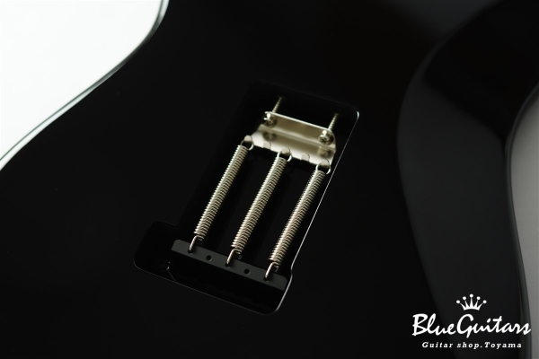 S-622CS Heritage - Black / Tortoise Shell