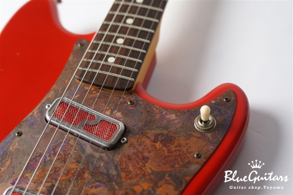 IRIS #172 Medium Aged - Fiesta Red with Copper Red