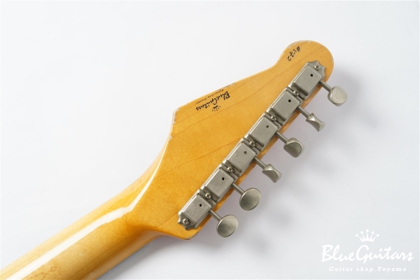 IRIS #172 Medium Aged - Fiesta Red with Copper Red