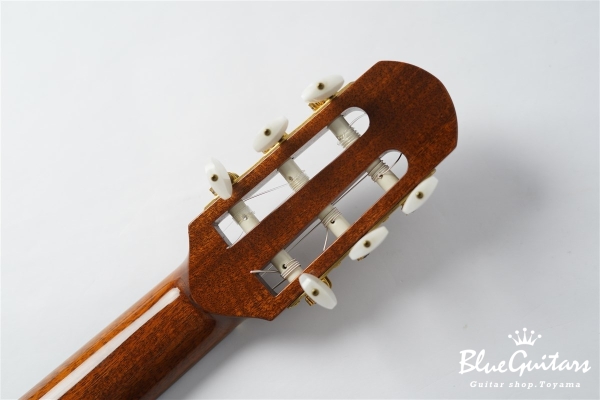 Giulietta 305 II type R Amazon Rosewood Limited #005
