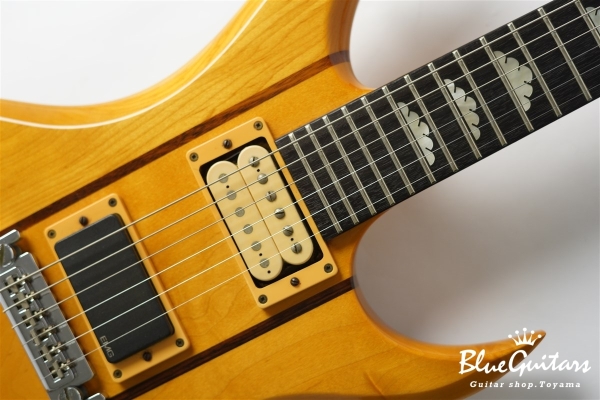 Bg-V Bich - Natural Amber