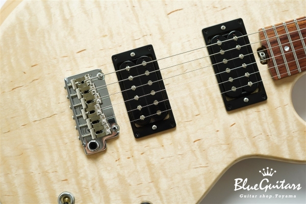 Amnis Novus Shibasaki Hiroshi Specs