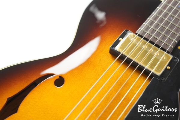 Ladybug SM-TBC HB - Vintage Sunburst #RZ0852