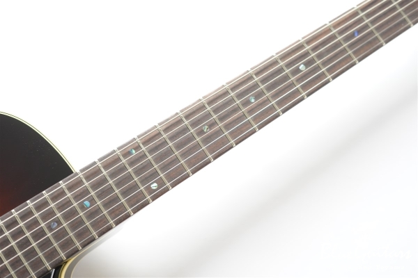 Ladybug SM-TBC HB - Vintage Sunburst #RZ0852