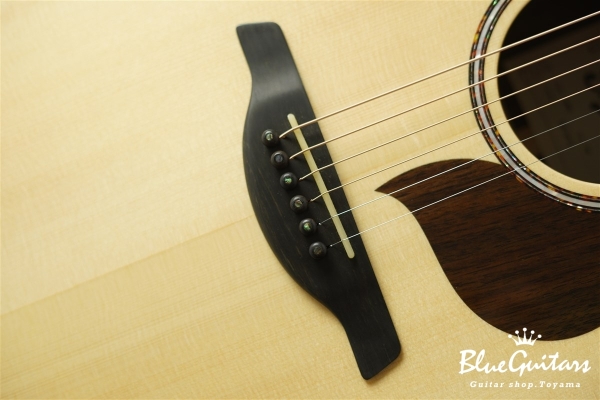 MD60 Swiss Moon Spruce / Indian Rosewood