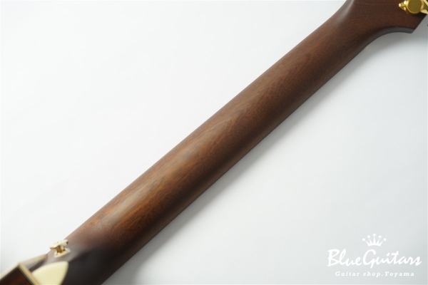 F130-GA Sitka Spruce / Indian Rosewood