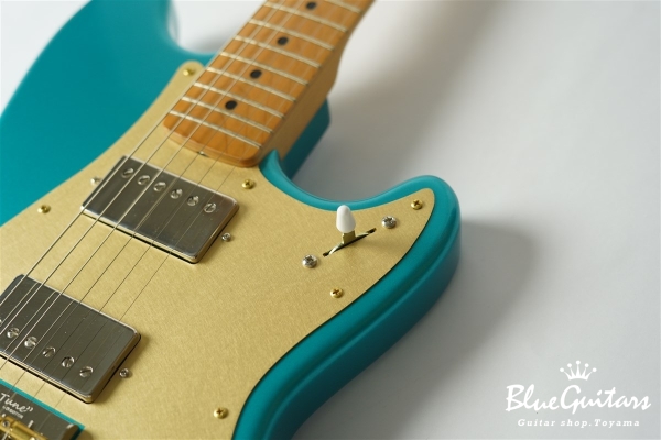 IRIS Patina #210 Light Aged - Faded Competition Burgundy with Brass