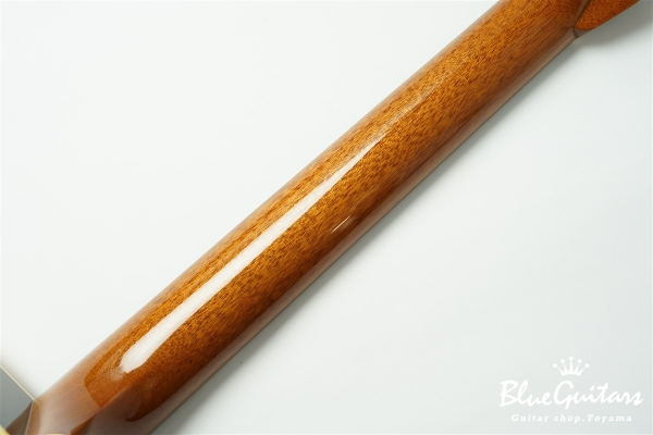 OM-28B Brazilian Rosewood / German Spruce