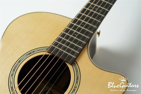 F130-GA Sitka Spruce / Indian Rosewood