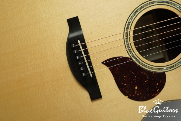 F130-GA Sitka Spruce / Indian Rosewood