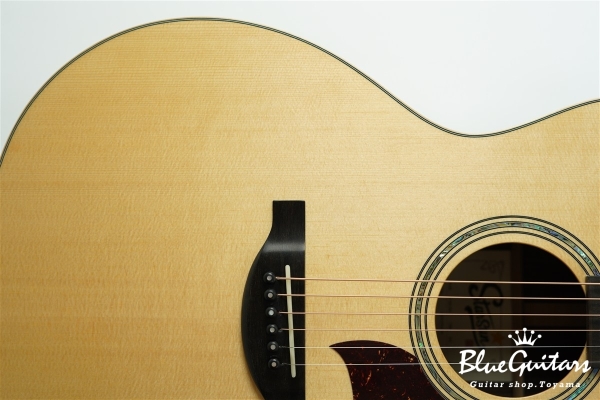 F130-GA Sitka Spruce / Indian Rosewood