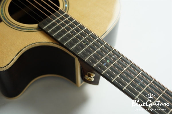 F130-GA Sitka Spruce / Indian Rosewood
