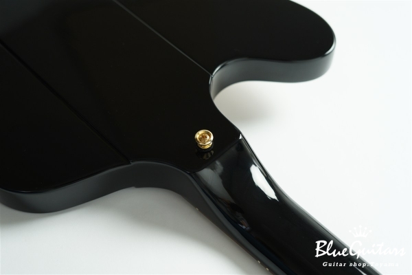 Rex Brown Thunderbird - Ebony