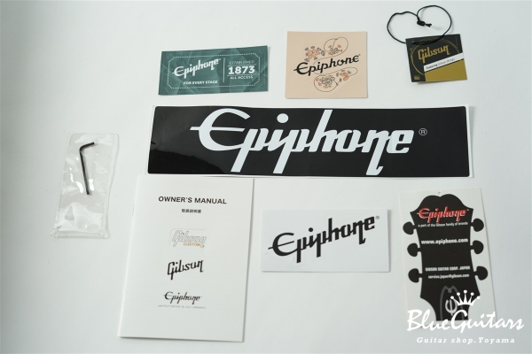 Rex Brown Thunderbird - Ebony