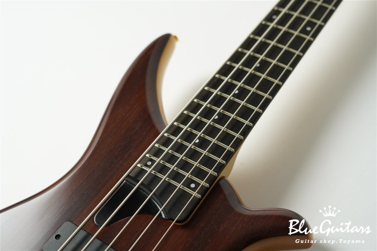 TWB-5 Standard PD/Alder - Natural