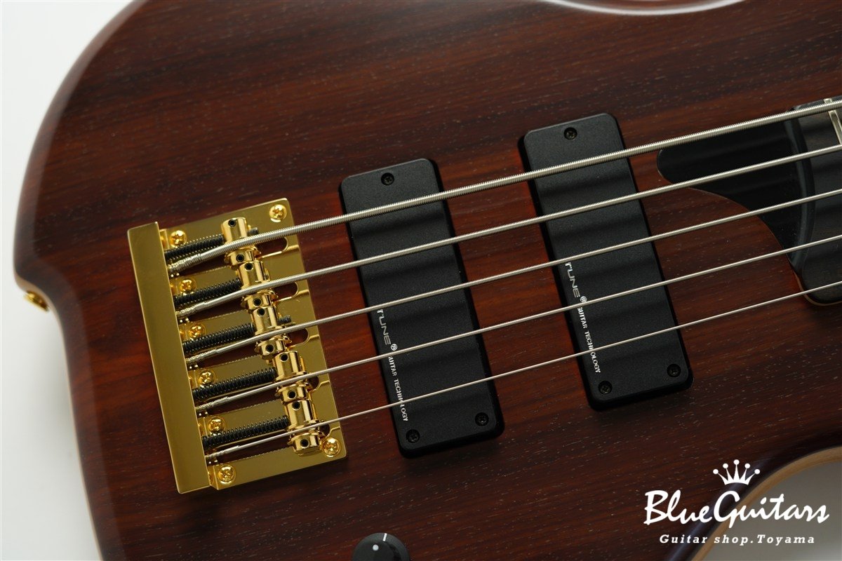 TWB-5 Standard PD/Alder - Natural