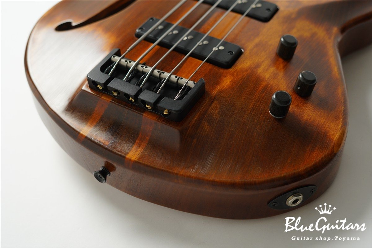 TEMPESTA 5st Fretless - Organic Texture
