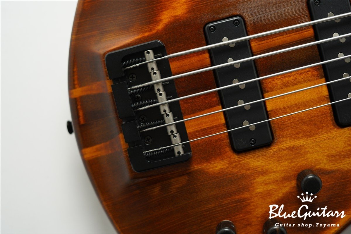 TEMPESTA 5st Fretless - Organic Texture
