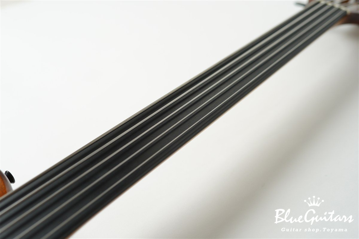 TEMPESTA 5st Fretless - Organic Texture