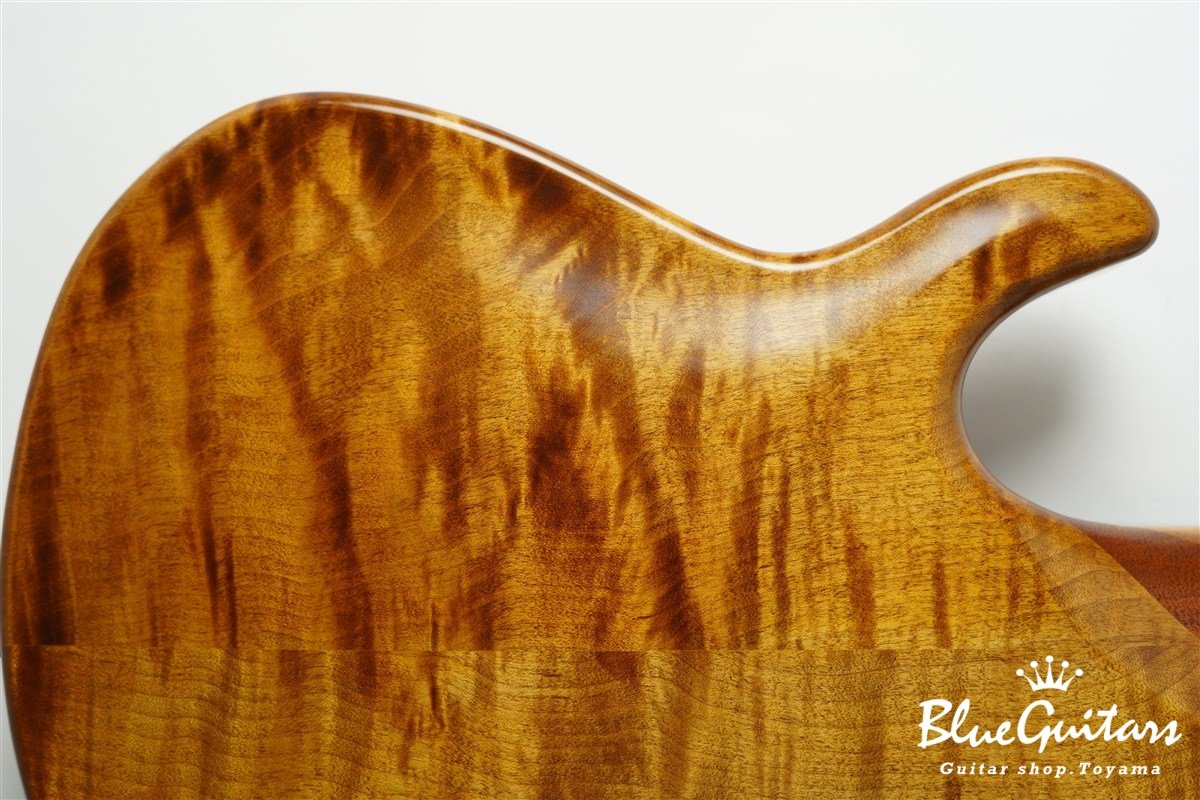TEMPESTA 5st Fretless - Organic Texture