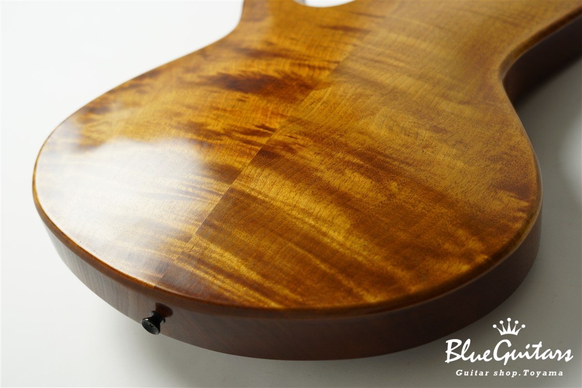 TEMPESTA 5st Fretless - Organic Texture