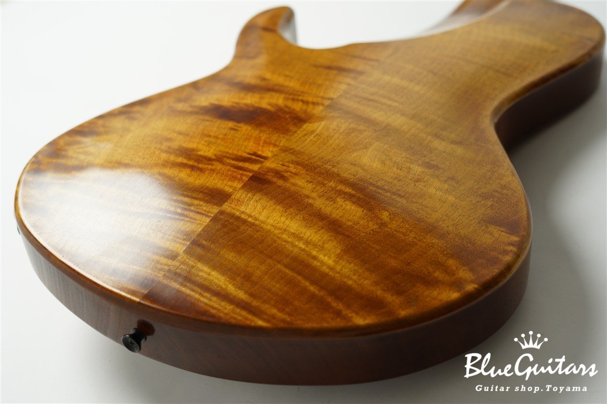 TEMPESTA 5st Fretless - Organic Texture