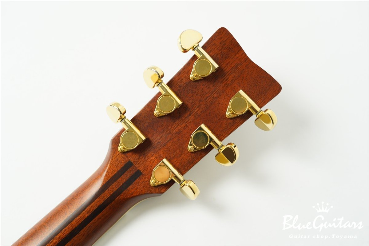 LS-TA - Brown Sunburst