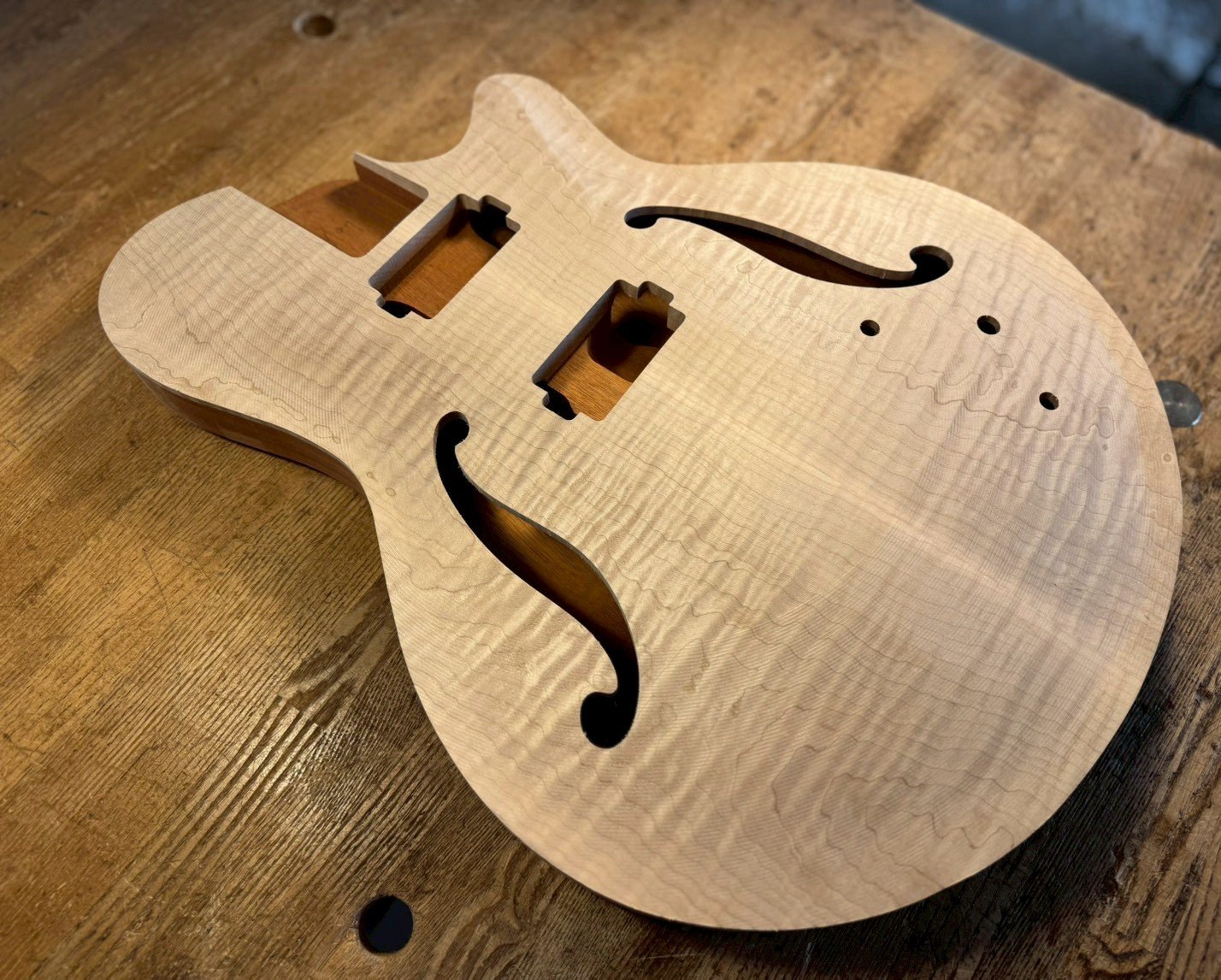 Arcus Forma - Semi Hollow