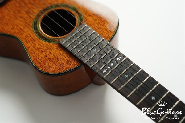 「照り葉」Teriha Concert - Honduras Mahogany