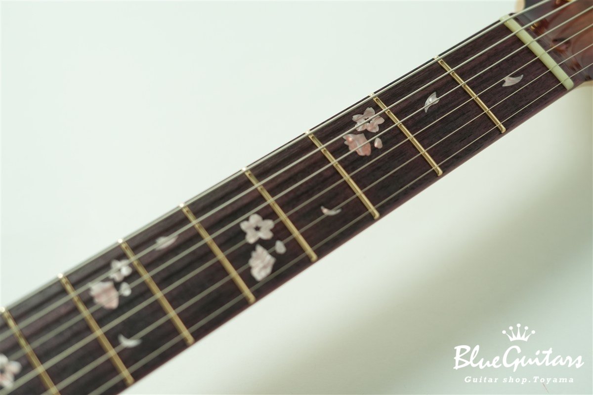 MMG-SAKURA-SP22/PH - SKP/PPL-B