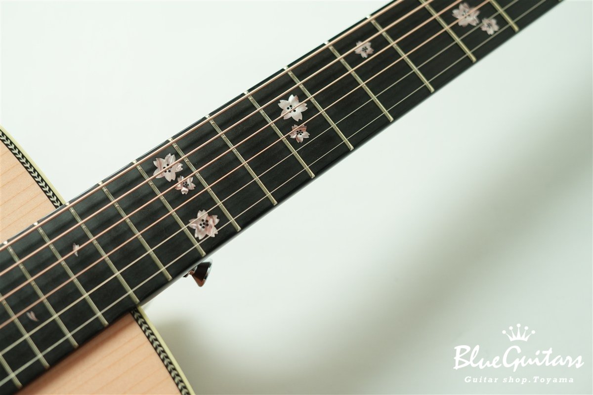 HF-SAKURA’22 F,S/STD - SAKURA NATURAL