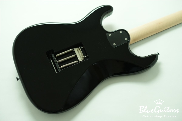 S-622CS Heritage - Black / Tortoise Shell
