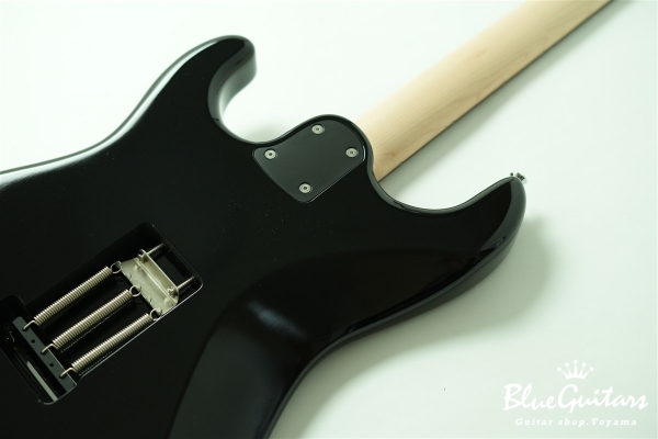 S-622CS Heritage - Black / Tortoise Shell