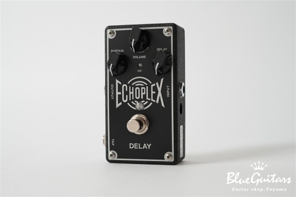 EP103 Echoplex Delay