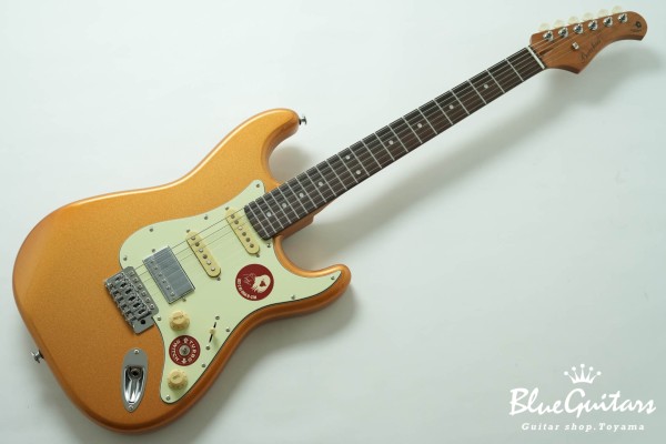 BST-2 KI-RSM/R-CTM - GD