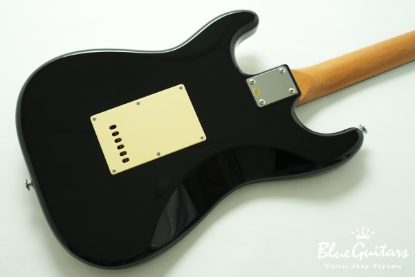 BST-2 KI-RSM/R-CTM - BLK