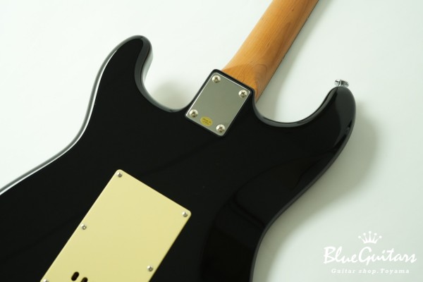 BST-2 KI-RSM/R-CTM - BLK