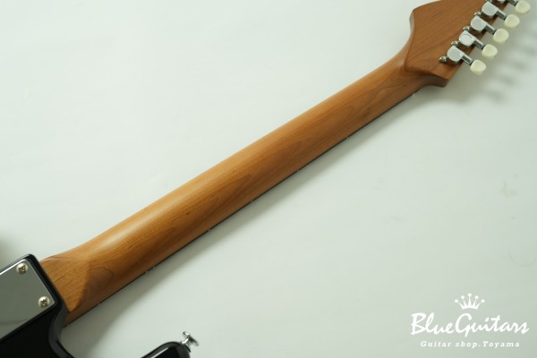 BST-2 KI-RSM/R-CTM - BLK