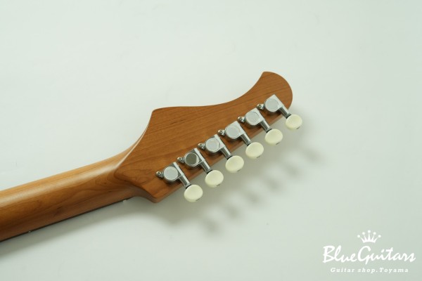 BST-2 KI-RSM/R-CTM - BLK