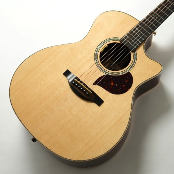 F130-GA w/L.R.Baggs Anthem SL - Sitka Spruce / Indian Rosewood