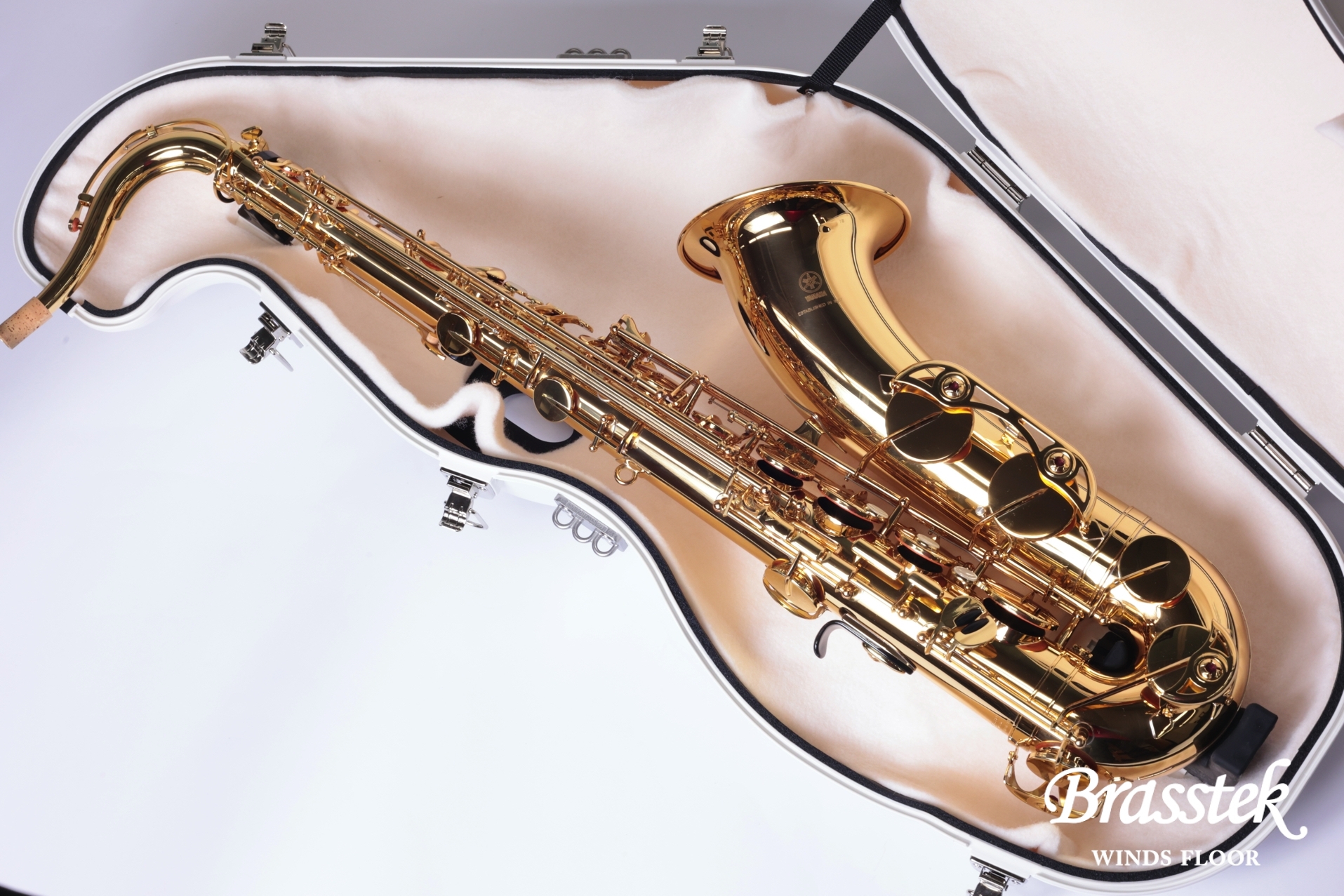 BEST BRASS BEST BRASS//テナーサックス用防音器具 e sax（イー