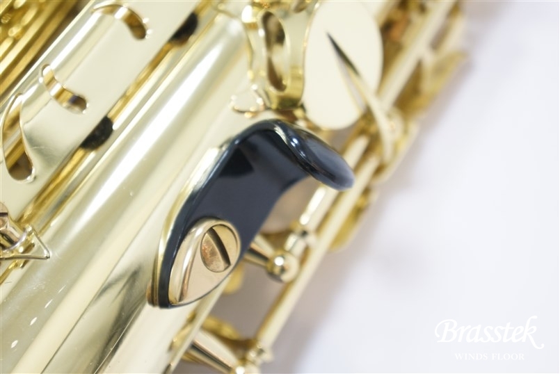 Alto Sax SA80 SERIE Ⅱ GP TONE