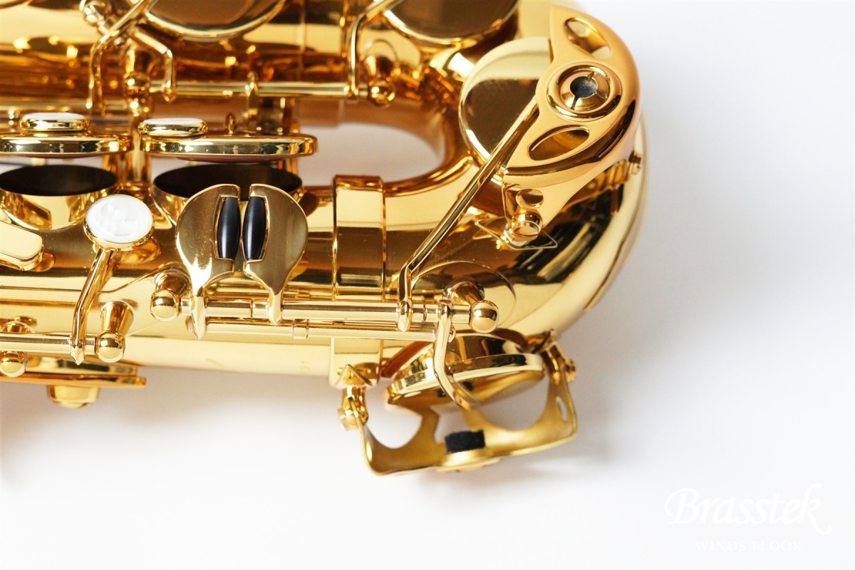 H.Selmer 【M様専用ページ】Alto Saxophone Reference 54【GreenRaySQ