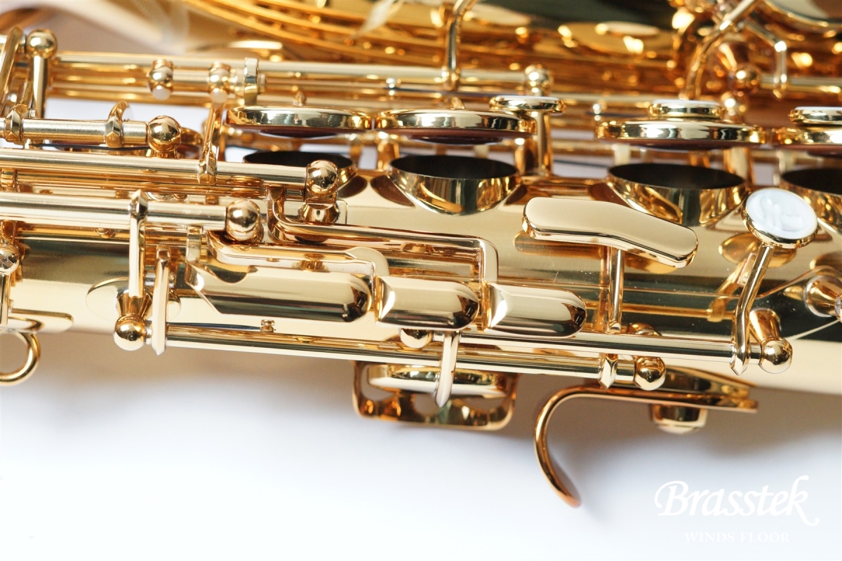 H.Selmer 【M様専用ページ】Alto Saxophone Reference 54【GreenRaySQ