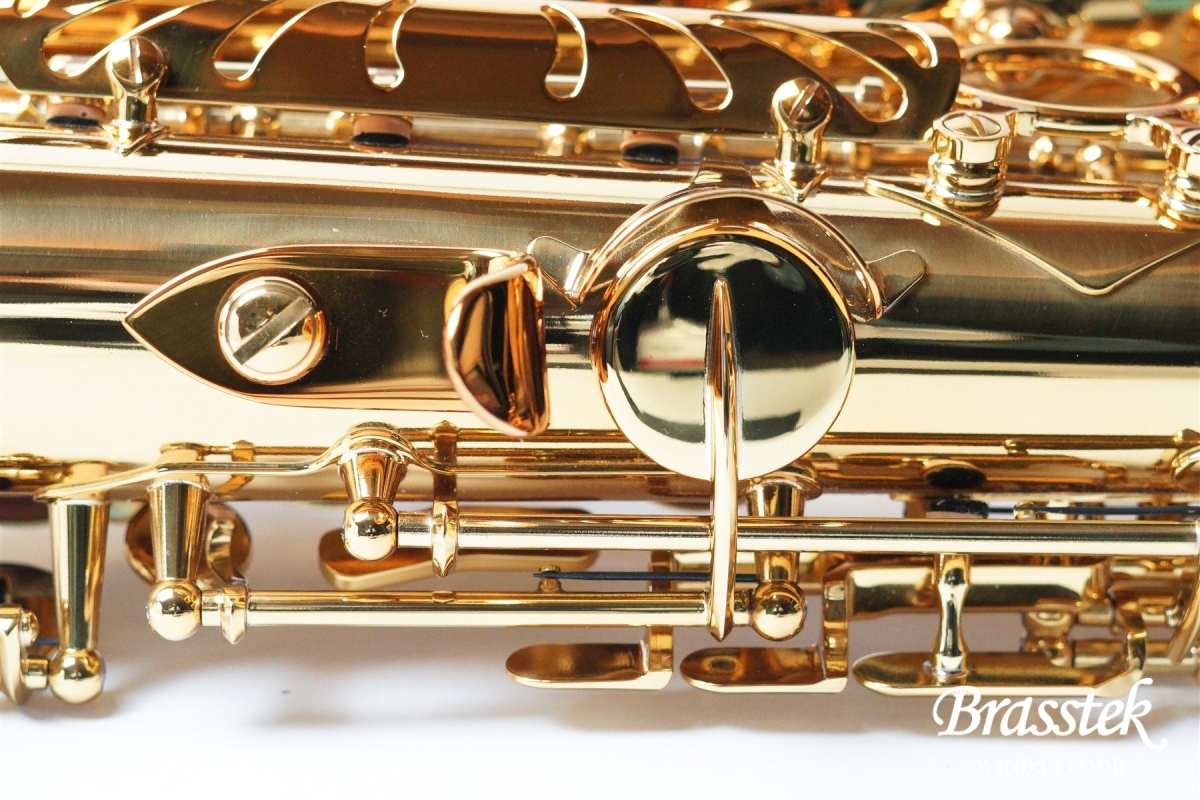 H.Selmer 【M様専用ページ】Alto Saxophone Reference 54【GreenRaySQ