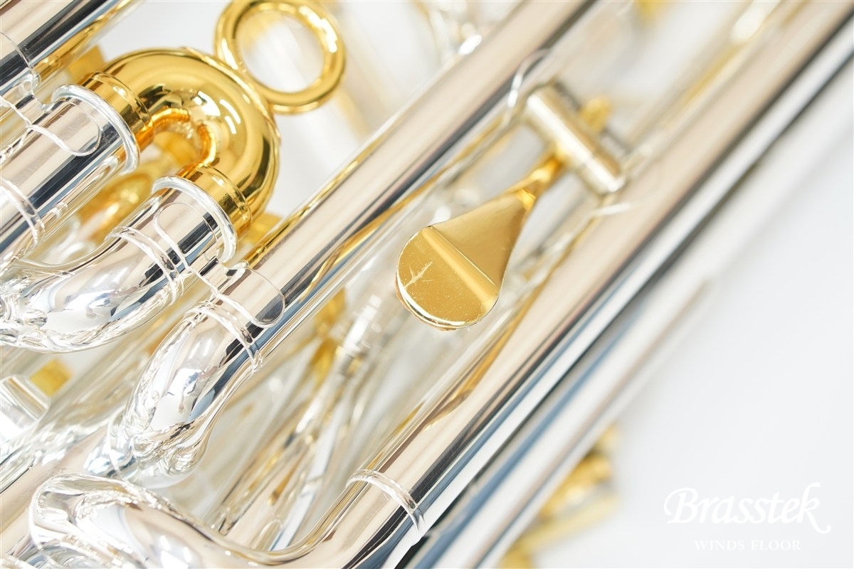 Euphonium PR3300SP