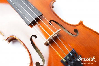 Viorin VL80 分数サイズ  3/4 set [お取り寄せ商品]